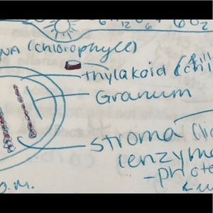 Meet your Posher, Alejandro